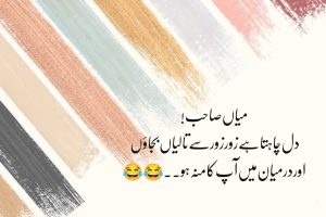 funny poetry about life in Urdu