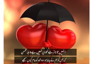 love poetry by Mohsin Naqvi