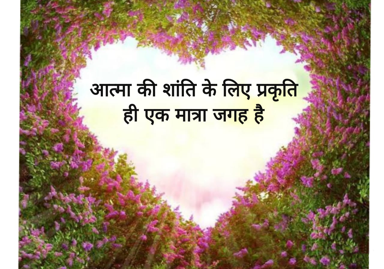 nature poetry in Hindi