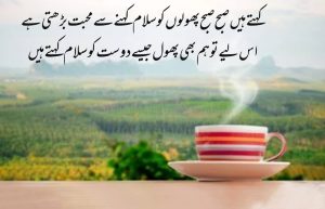 Good Morning Poetry In Urdu text