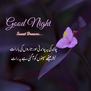 Good Night Poetry In Urdu for lover